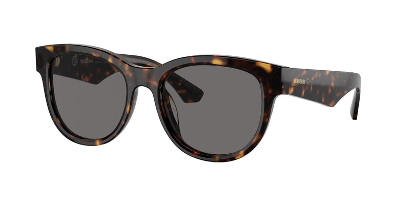 BE4432U 300281 havana/grey polarised lens