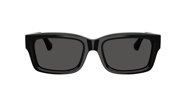 BE4443 300187 black/dark grey lens