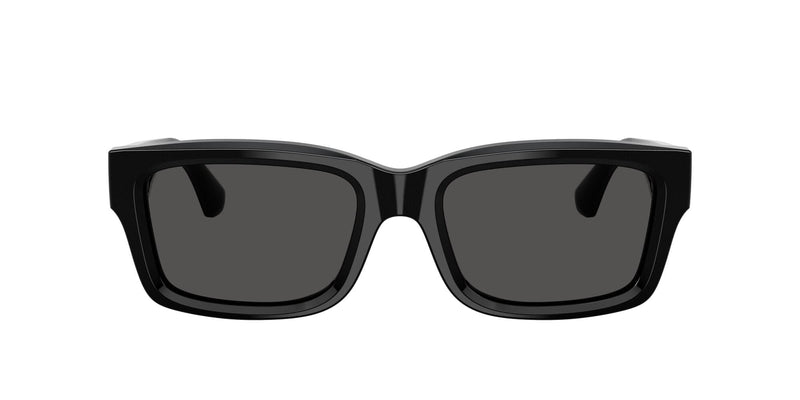 BE4443 300187 black/dark grey lens