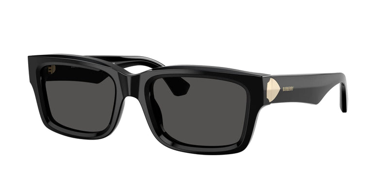 BE4443 300187 black/dark grey lens