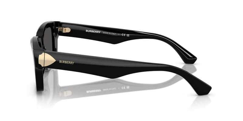 BE4443 300187 black/dark grey lens