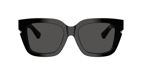 BE4453 3001/87 black/dark grey lens