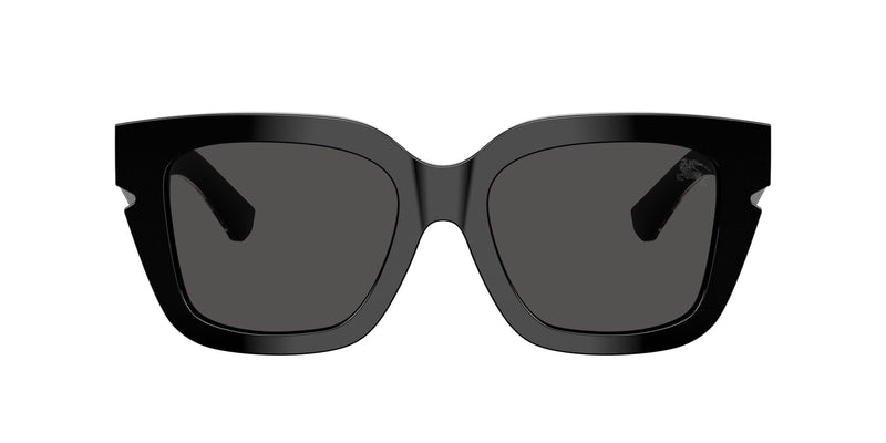 BE4453 3001/87 black/dark grey lens