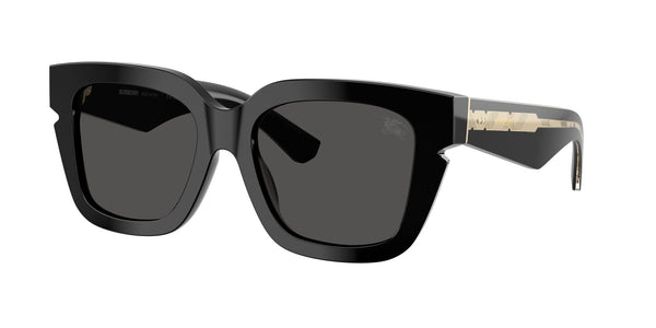 BE4453 3001/87 black/dark grey lens
