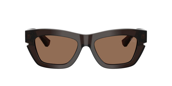 BE4454 411673 brown/ dark brown lens