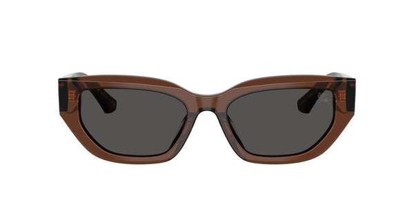 BE4463D 411687 brown/ brown lens