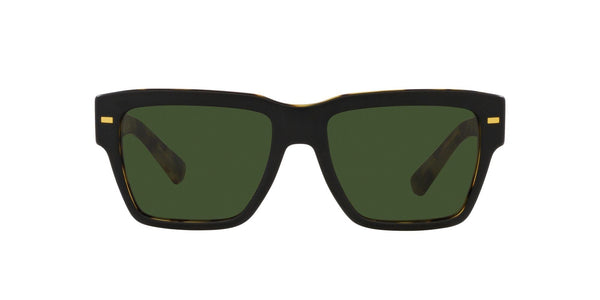 DG4431 340471 MATTE BLACK/DARK GREEN LENS