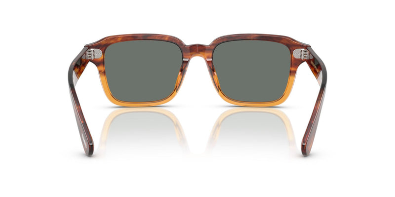 0OV5562SU 1754W5 (51) Errisson dark amber/regal blue lens