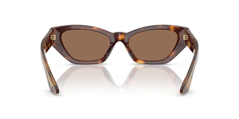 OV5582SU 100773 1961C dark mahogany/brown lens