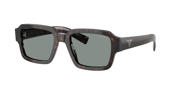 SPR02ZS 17N20N root tortoise/blue lens