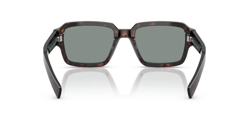 SPR02ZS 17N20N root tortoise/blue lens