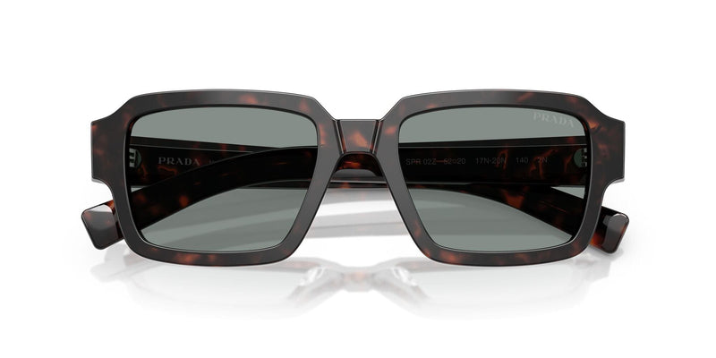 SPR02ZS 17N20N root tortoise/blue lens