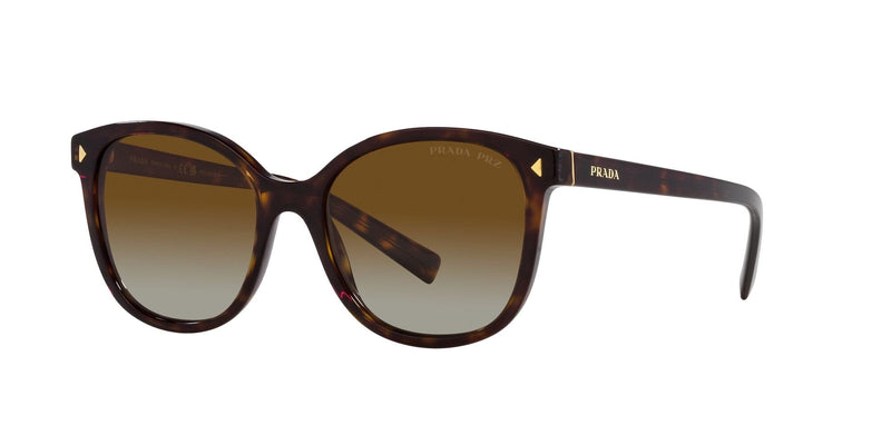 SPR22ZS 2AU6E1 TORTOISE/POLARISED BROWN GRADIENT