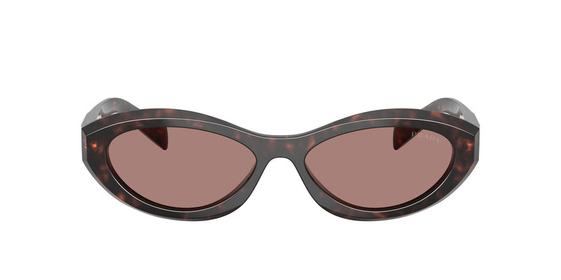 SPR26ZSF 17N60B root tortoise/light brown lens
