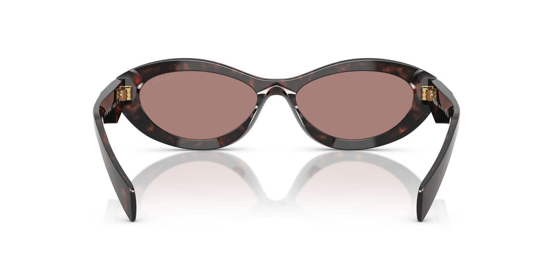 SPR26ZSF 17N60B root tortoise/light brown lens
