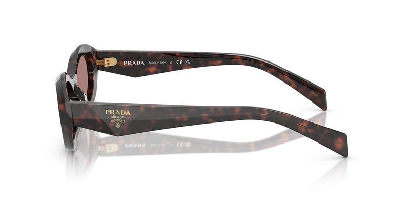 SPR26ZSF 17N60B root tortoise/light brown lens