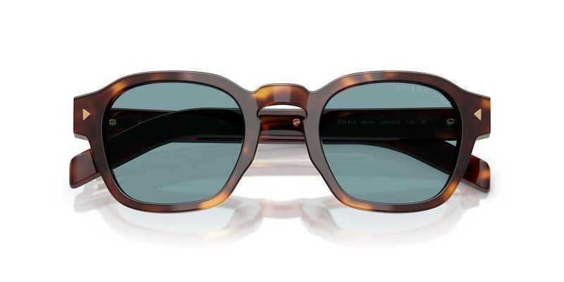 SPRA16S 15W04D (49) classic tortoise/green polarised lens