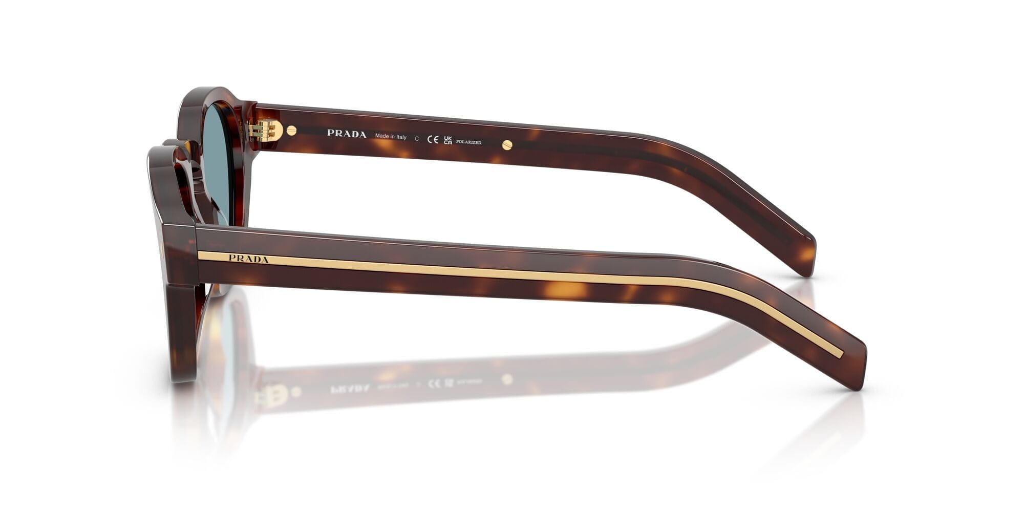 SPRA16S 15W04D (49) classic tortoise/green polarised lens