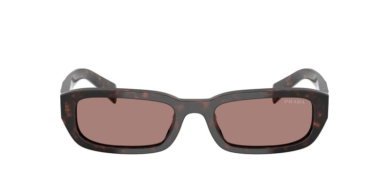 SPRB06S 17N60B  root tortoise/light brown lens