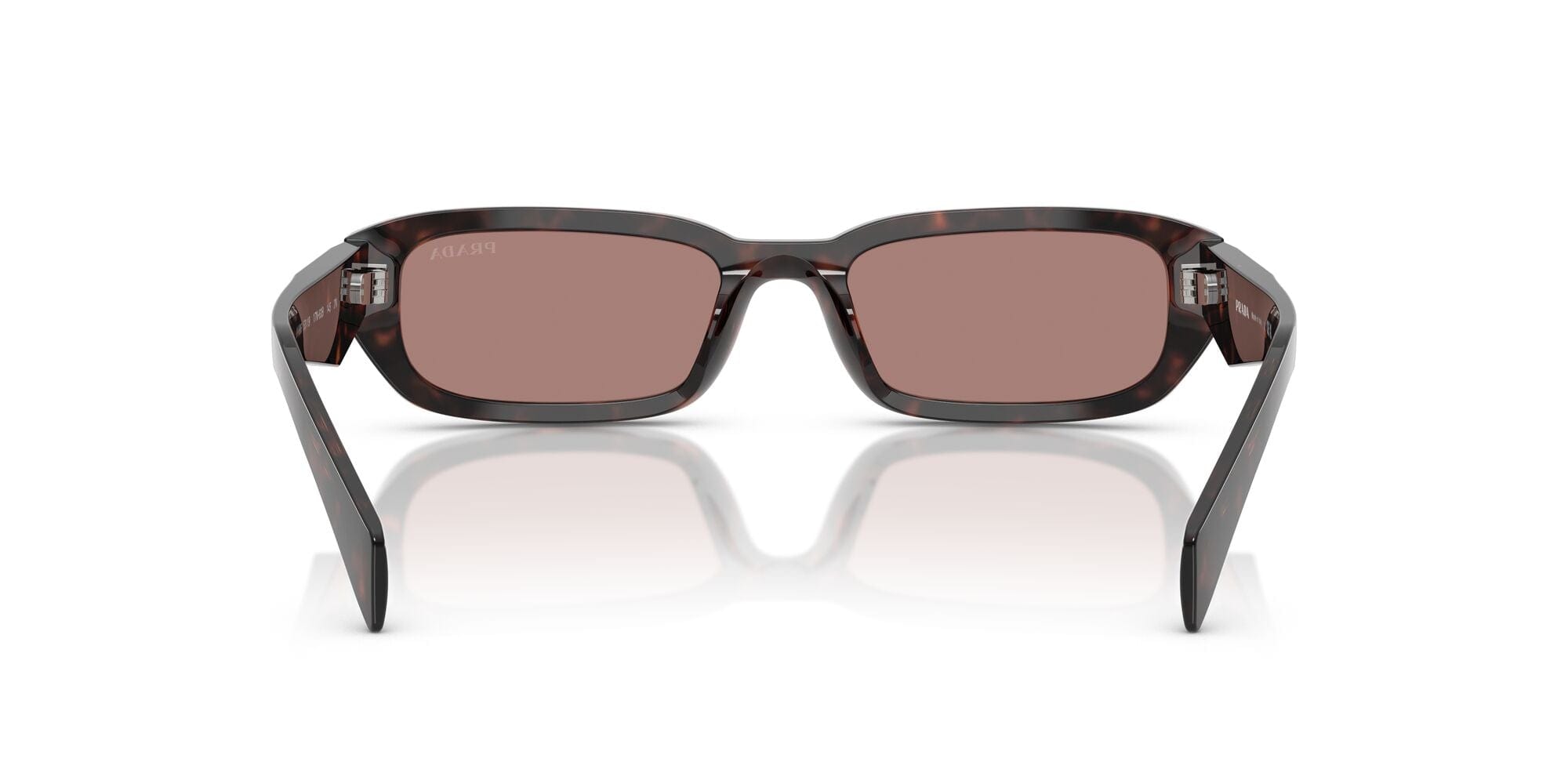 SPRB06S 17N60B  root tortoise/light brown lens