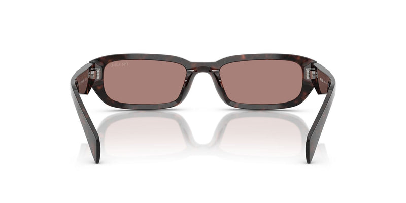 SPRB06S 17N60B  root tortoise/light brown lens