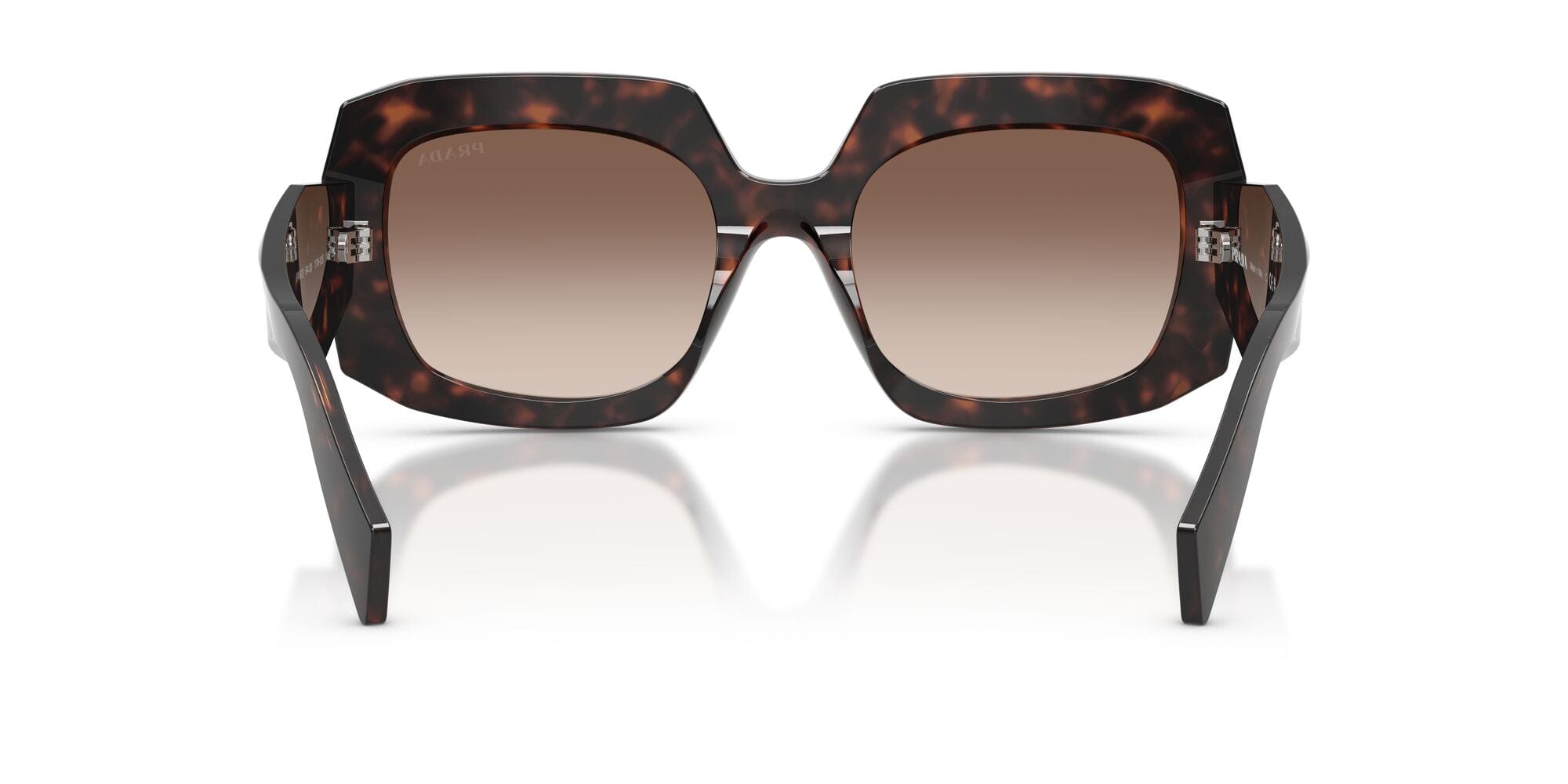 SPRB23S 17N10S root tortoise/brown gradient lens