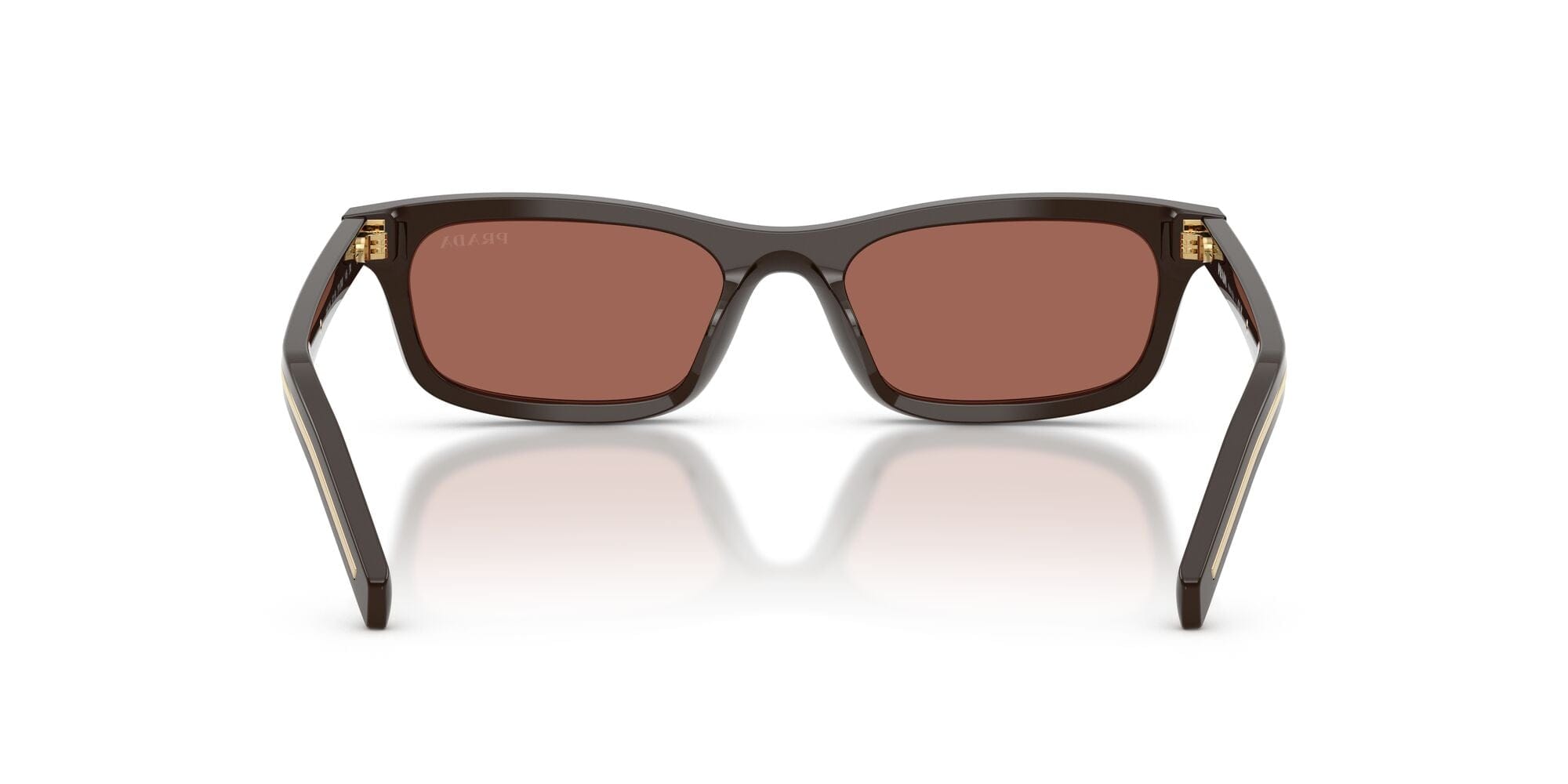 SPRD05S 27120W cedar/brown lens