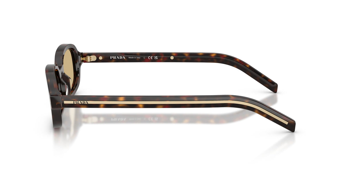 SPRD06S 17N70R  root tortoise/light brown lens