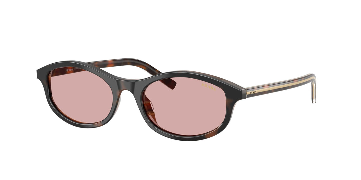 SPRD17S 20P9G1 cherry tortoise tobacco horn/light violet lens