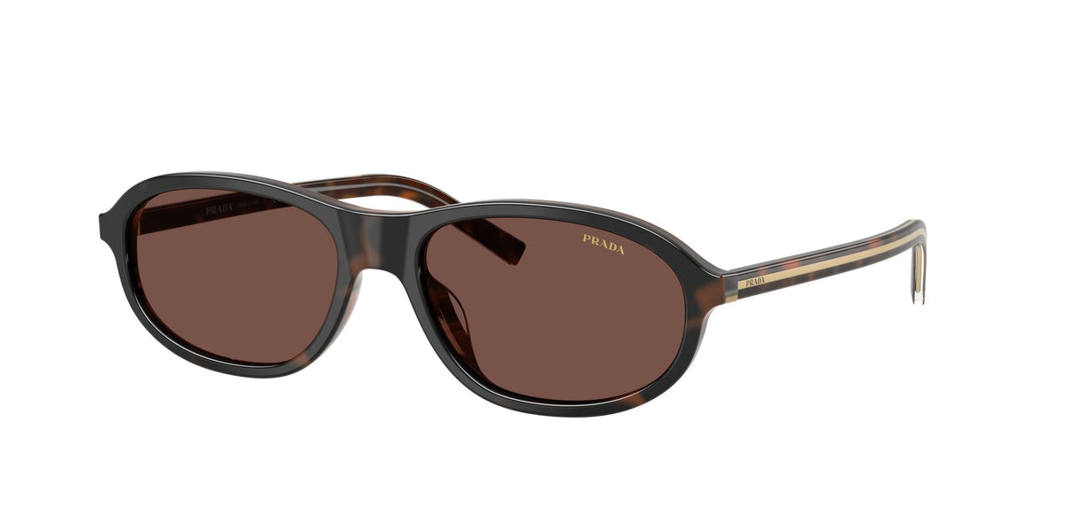 SPRD20SU 20P90W cherry tortoise/tobacco horn w/black chocolate lens