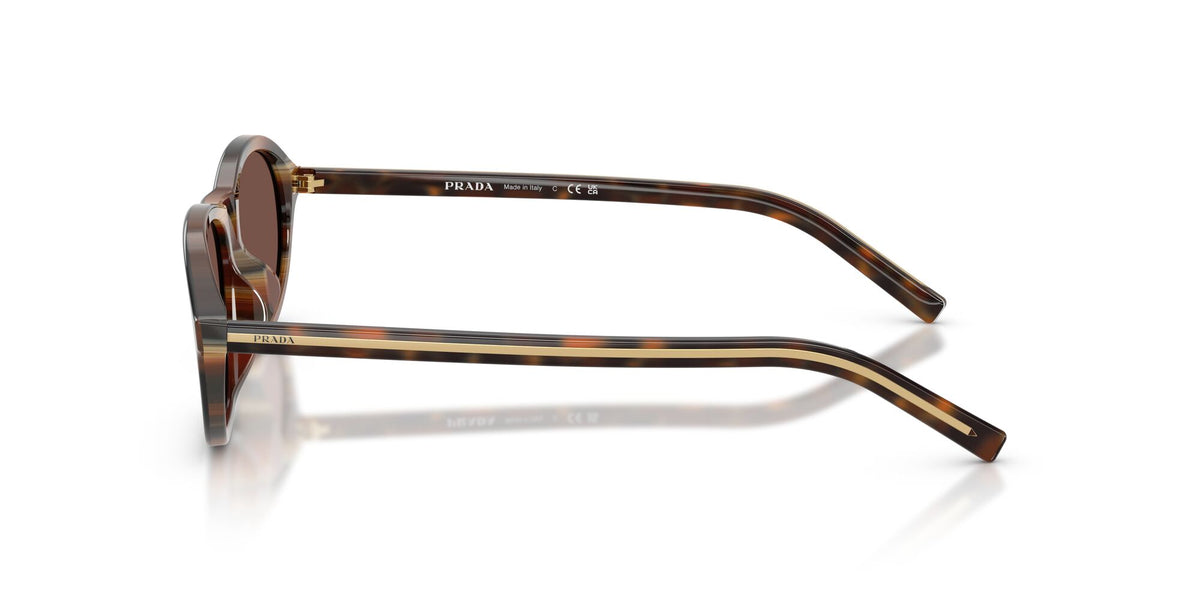 SPRD20SU 20P90W cherry tortoise/tobacco horn w/black chocolate lens