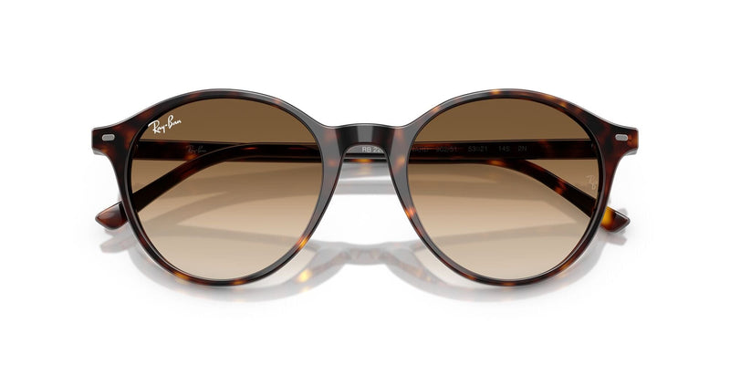 RB2230 902/51 (53) havana/clear gradient brown lens