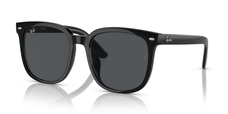 RB4401D 601/87 (55) black/grey lens