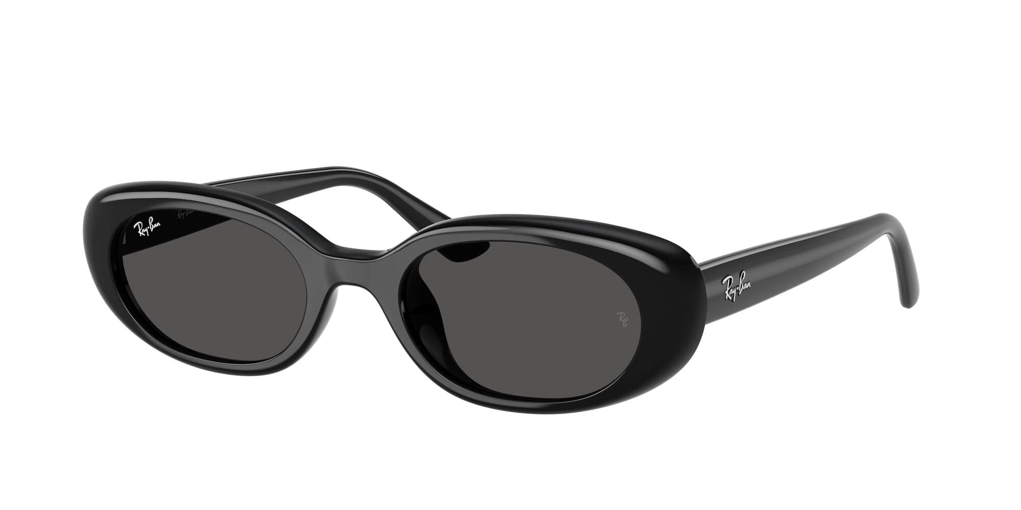 RB4441D 677787 transparent dark grey/dark grey lens
