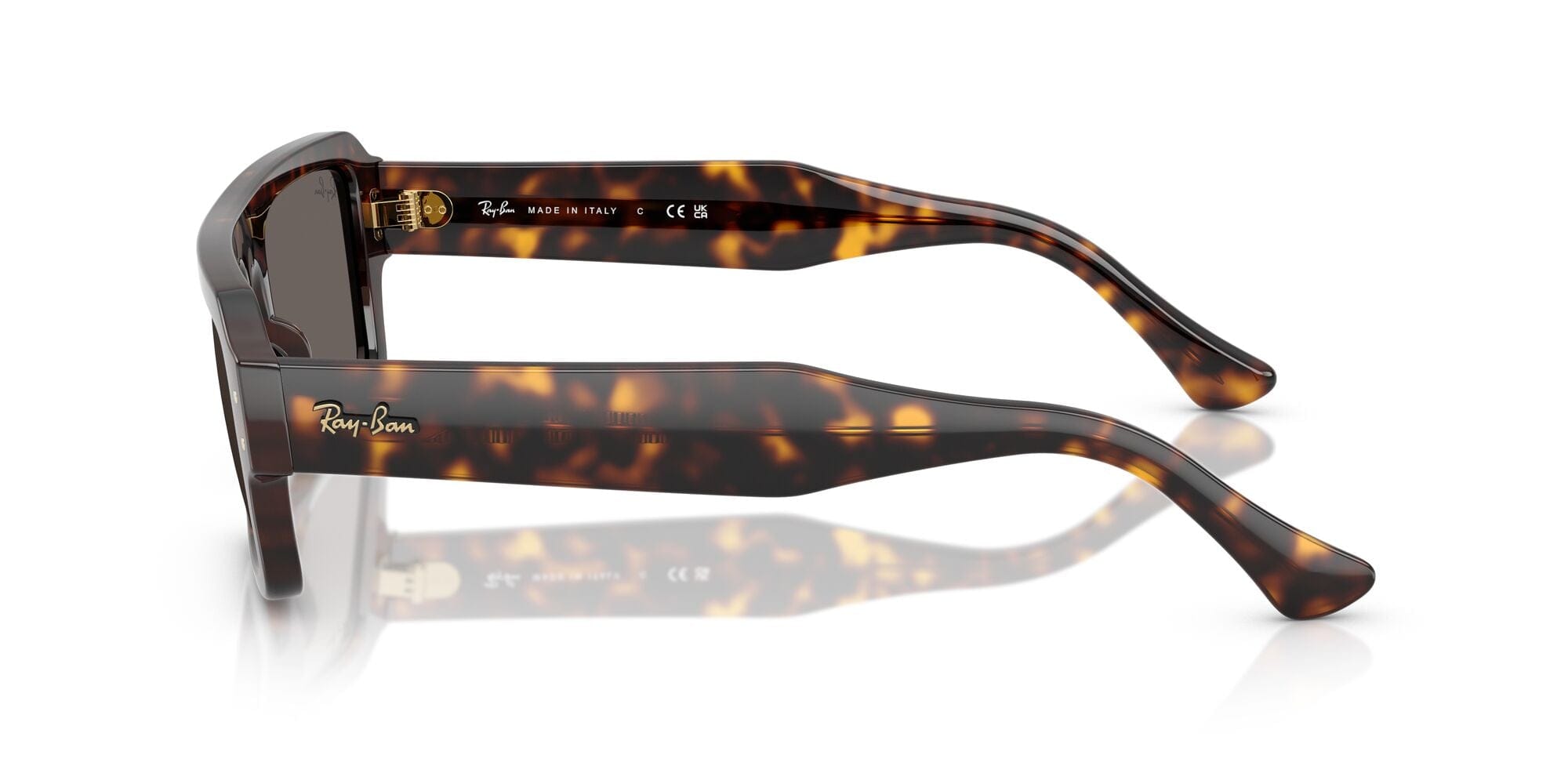 RB4454 1395B1 (56) havana/grey lens