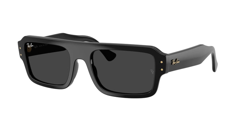 RB4454 667748 (56) black/polarised black lens