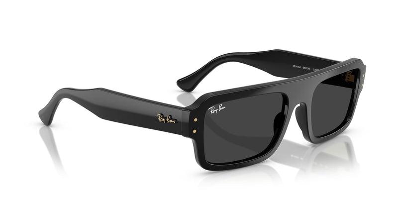 RB4454 667748 (56) black/polarised black lens