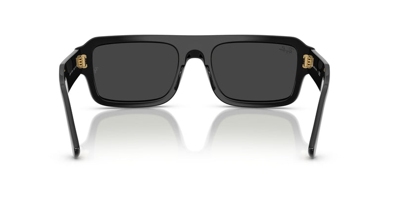 RB4454 667748 (56) black/polarised black lens