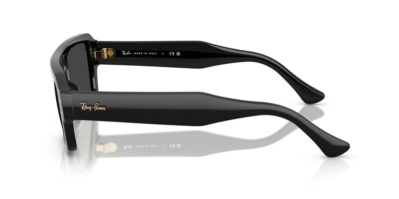 RB4454 667748 (56) black/polarised black lens