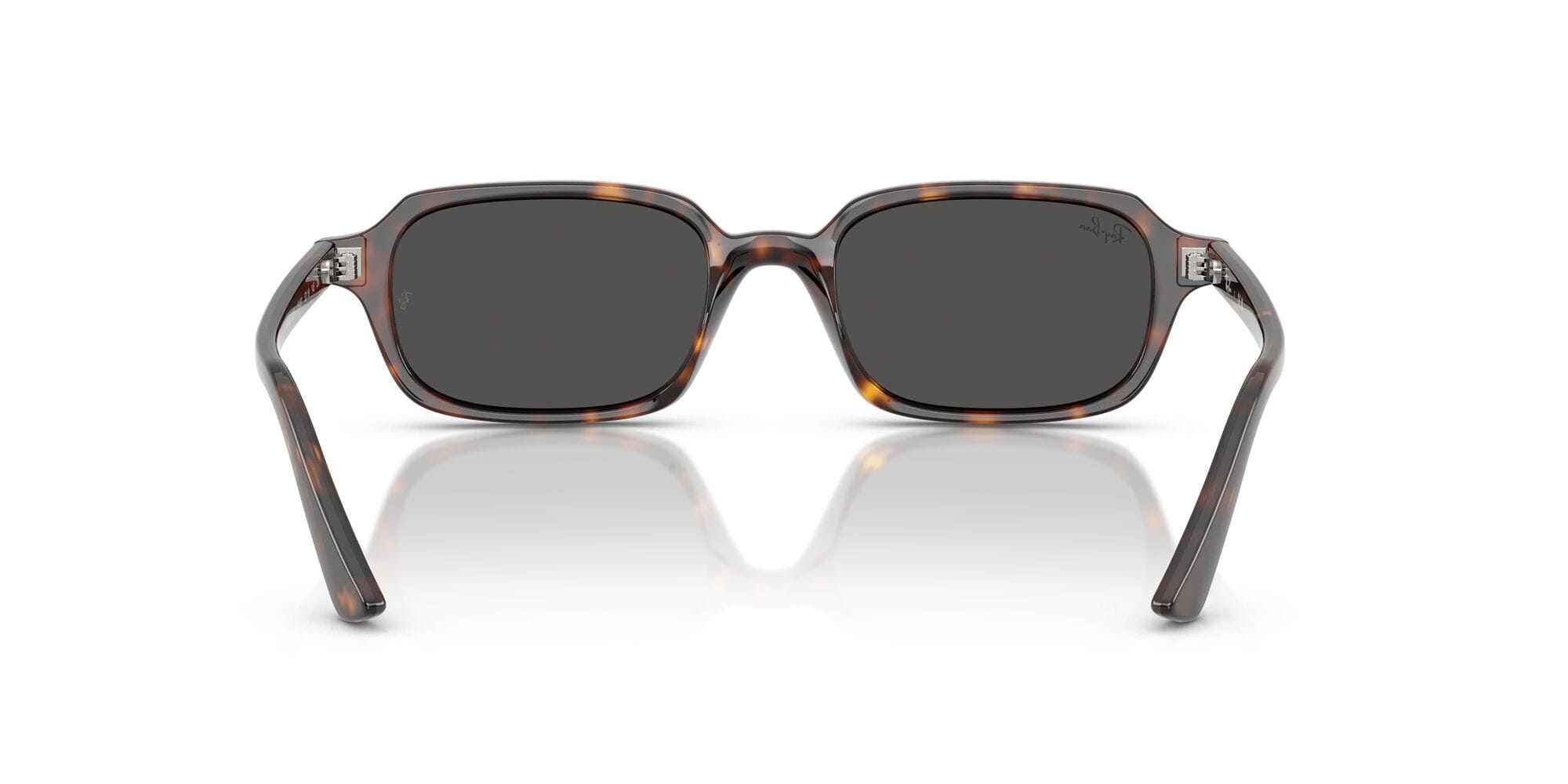 RB4455 Zuri 135987 size 49 havana/dark grey lens