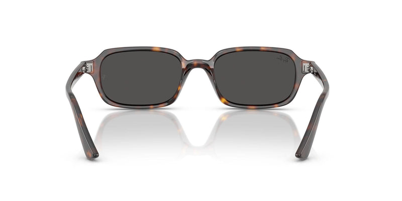 RB4455 135987 (52) havana/grey lens
