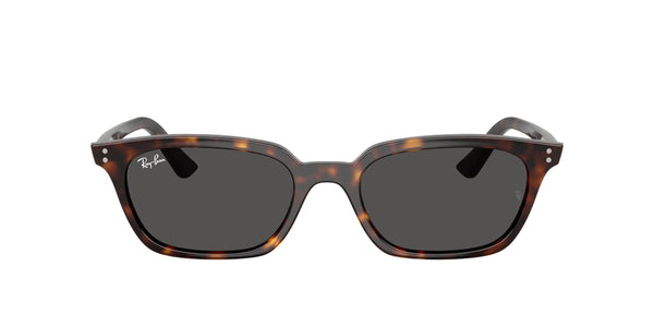 RB4456 135987 (53) havana/grey lens