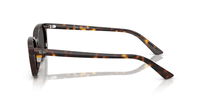 RB4456 135987 (53) havana/grey lens