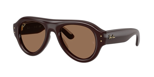 RB4925 689673 ASAP rocky transparent dark brown/dark brown lens