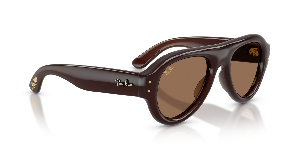 RB4925 689673 ASAP rocky transparent dark brown/dark brown lens