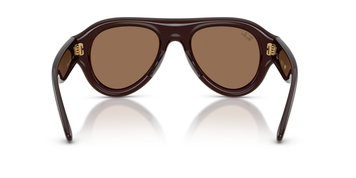 RB4925 689673 ASAP rocky transparent dark brown/dark brown lens
