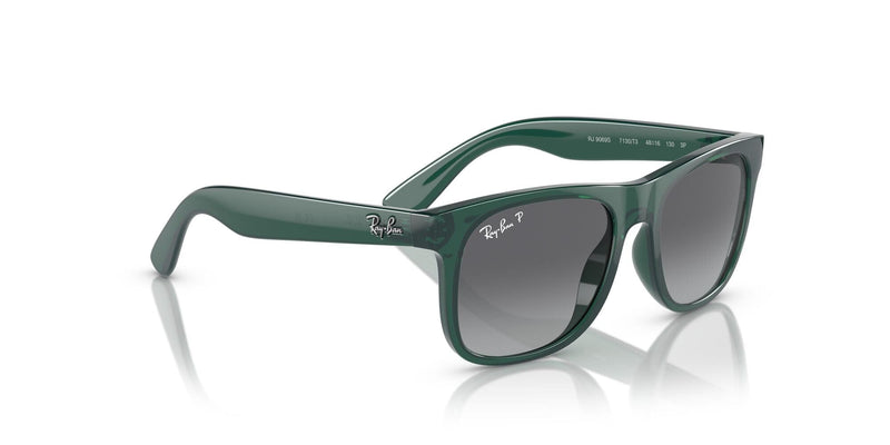 RJ9069S 7130T3 opal green/grey gradient polarised lens