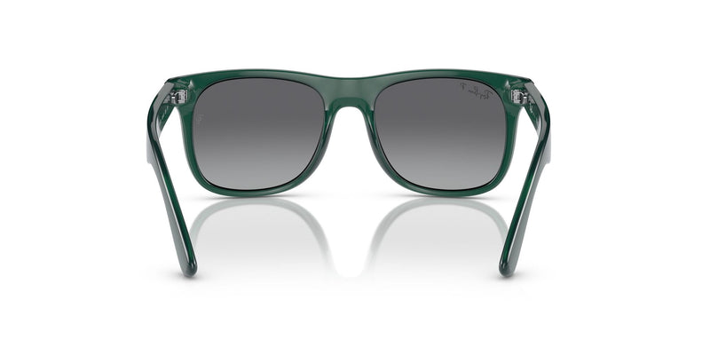RJ9069S 7130T3 opal green/grey gradient polarised lens