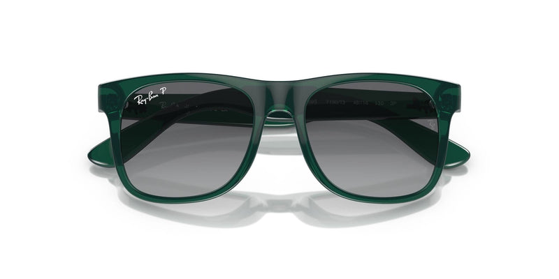 RJ9069S 7130T3 opal green/grey gradient polarised lens