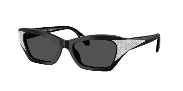 SK6029 100187 black/dark grey lens